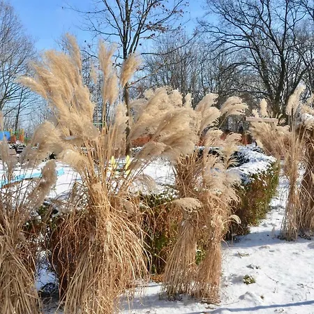 아파트 Wzgorze Slowikow 바르샤바